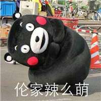 默契的人你不说我也懂 熊本熊表情包个性头像