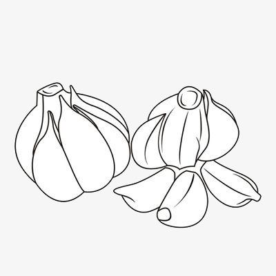 大蒜苗简笔画图片大全