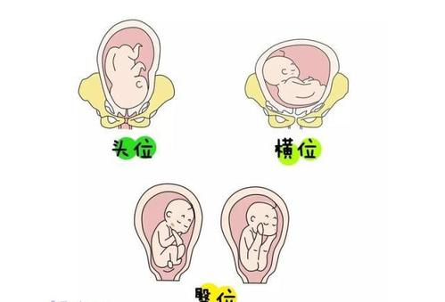 女人喝羊奶粉的功效与作用孕妇喝羊奶粉的六大好处