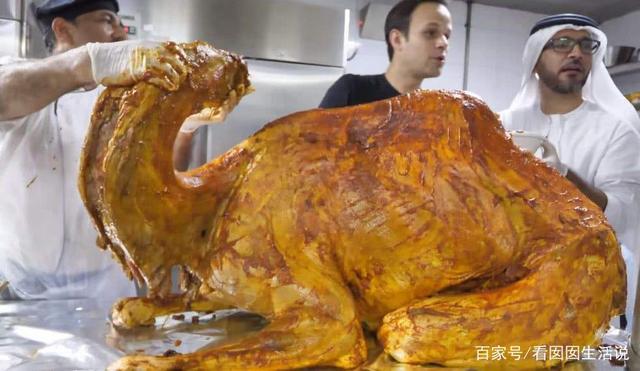 迪拜土豪宴会聚餐都吃什么?身价不菲的骆驼肉,贫穷限制了想象!