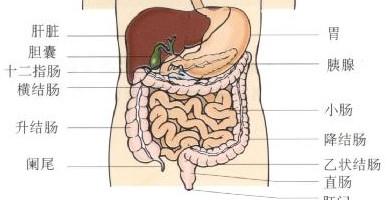十二指肠先天性缺如,闭锁和狭窄的饮食禁忌是什么 治疗方法有哪些呢