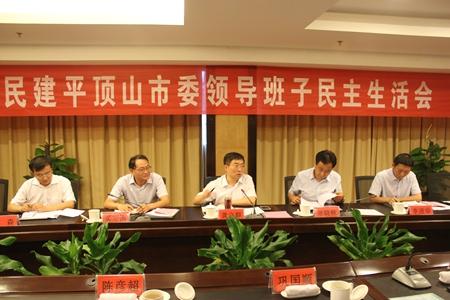 平顶山市委召开领导班子民主生活会