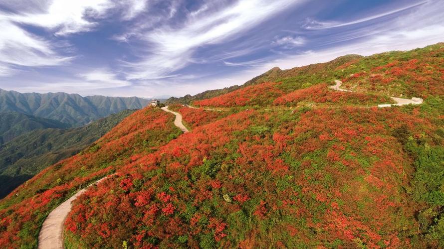 我爱永州的杜鹃山