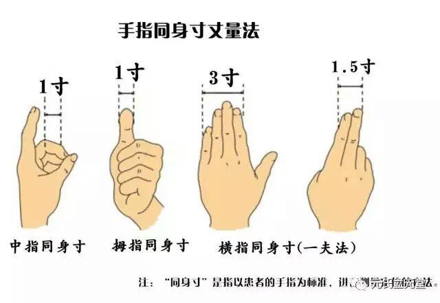 "同身寸"中的"一寸"在不同的人身体上都是不同