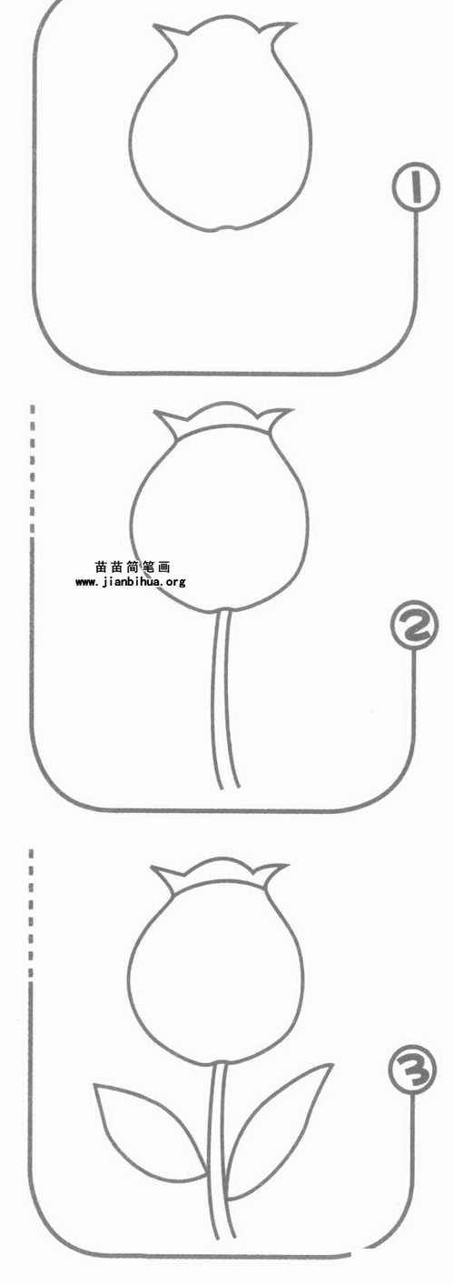 罂粟花简笔画图片,教程