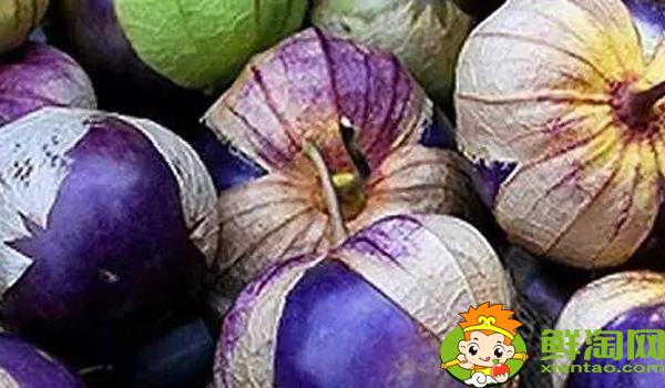 姑娘果一年结几次果姑娘果从开花到结果多久成熟