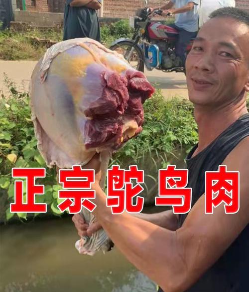 鸵鸟肉