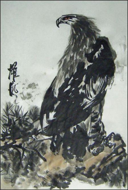 鹰爪没画好,老师莫吝啬拍砖啊!