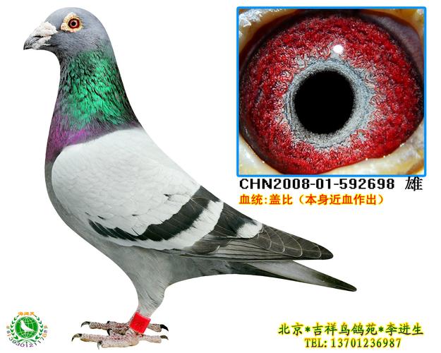 盖比
