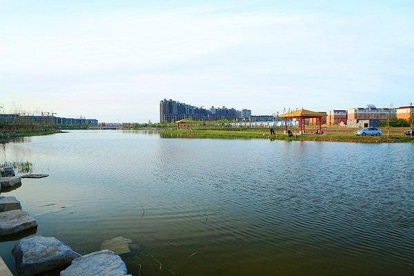 美丽的秦皇河公园