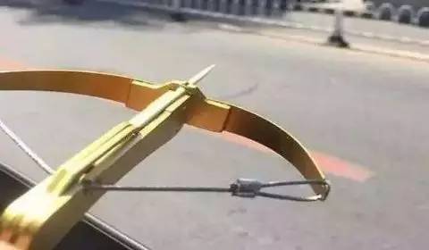 小小 "牙签弩",伤害无穷大"6013岁小学生,竟然因饮酒住进了重症监护