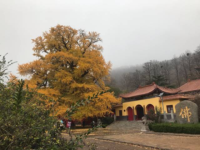 潍坊安丘城顶山公冶长书院辉渠梯田赵家沟峡山