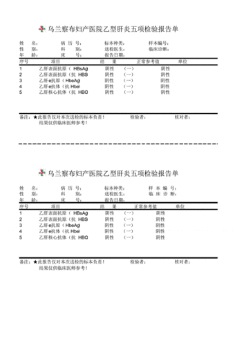 乙型肝炎五项检验报告单pdf29页