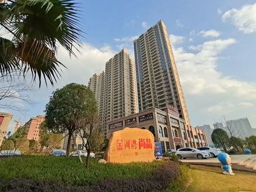 目前金河湾尚品一期二期一起在卖,高层均价6000/㎡,有37㎡~185㎡的