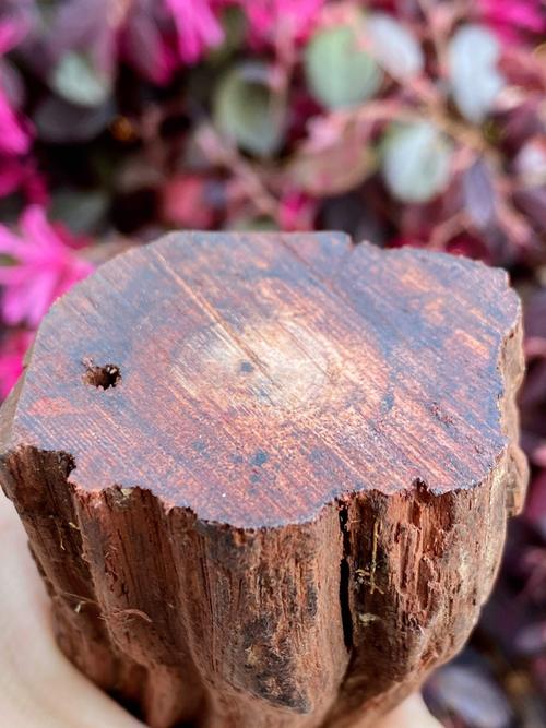 降真香原木 降真香原木缅甸小叶土埋料满油高密沉水奶香奇楠级线香