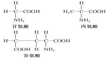 一条肽链的分子式为c22h34o13n6 , 其水解后共产生了下列3种氨基酸