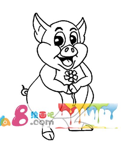 小猪动物简笔画步骤图片大全二