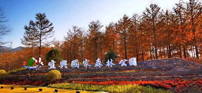 太美了宜兴国家森林公园即将试运行