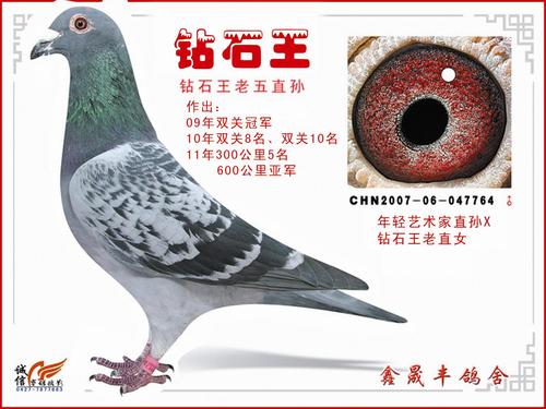 钻石王