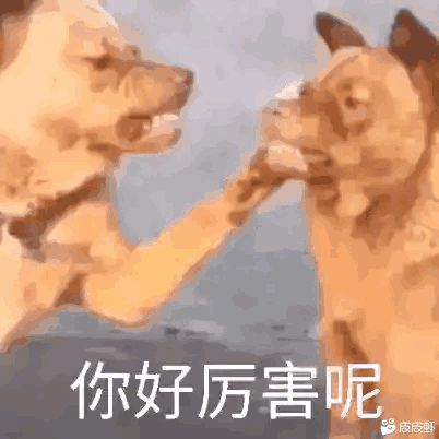 狗打狗的脸,你好厉害噢-i表情表情包