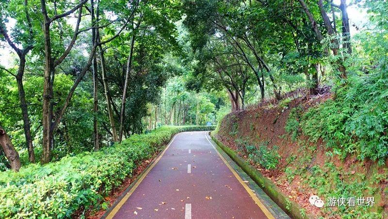 深圳绿道行:光明大浪龙华观澜徒步_大水坑