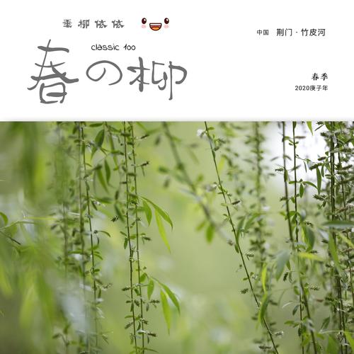 阳春三月,摘春竹皮河