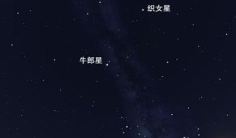 织女星