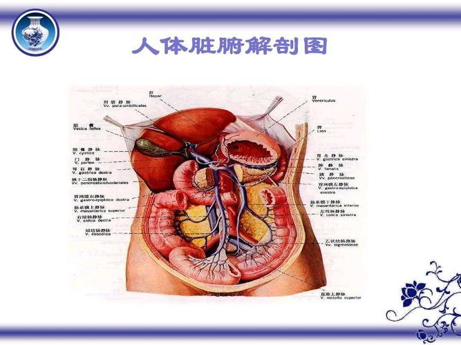 【腹部点穴调心气】中医调理胸腹主动脉质量…《汪医指编辑》