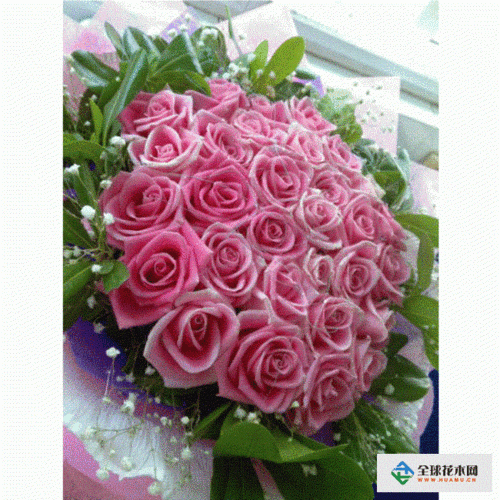 送花的学问:什么场合送什么花