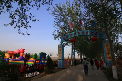 晋州周家庄乡旅游采摘园