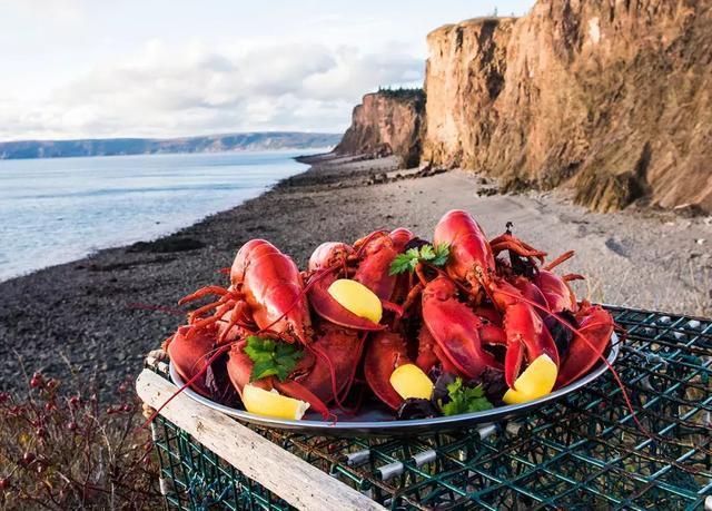 有种说法"没在新斯科舍省吃过龙虾,就不算真正意义上