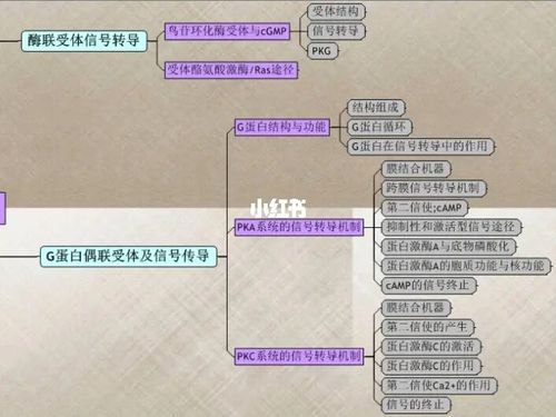 细胞生物学知识点总结(7)!_考研_思维导图_22生物学