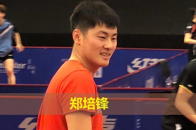 2018瑞典乒乓球公开赛30日预告,郑培锋薛飞张蔷让直板飞