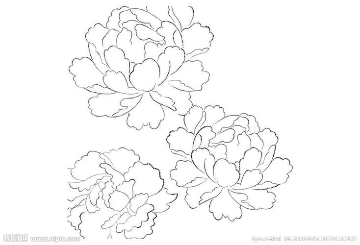 花卉牡丹图片手绘简笔画