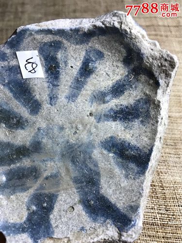 古董古玩收藏杂项明代瓷器青花瓷瓷片瓷碎片标本出土