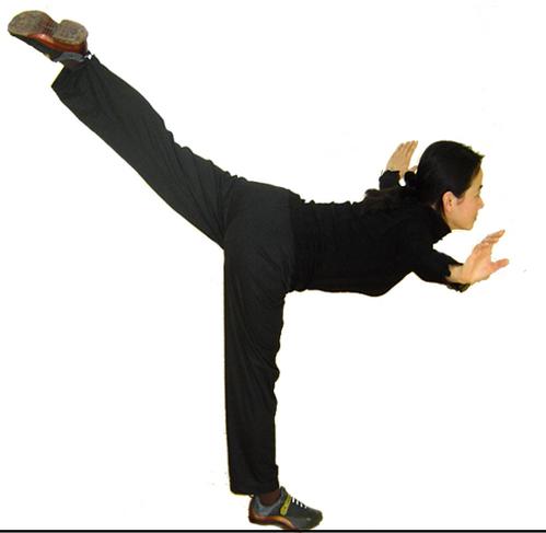 做燕式平衡和仰身平衡分别需要哪些肌肉用力?