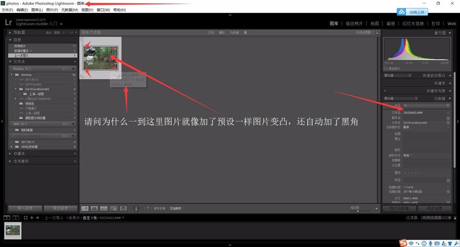 lightroom照片导入变形,自动加了黑角很变凸,图片格式