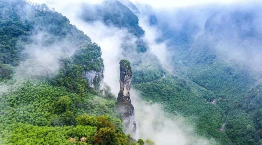 重庆五大高山吸氧地,恒定10000 的是大娄山脉最高峰