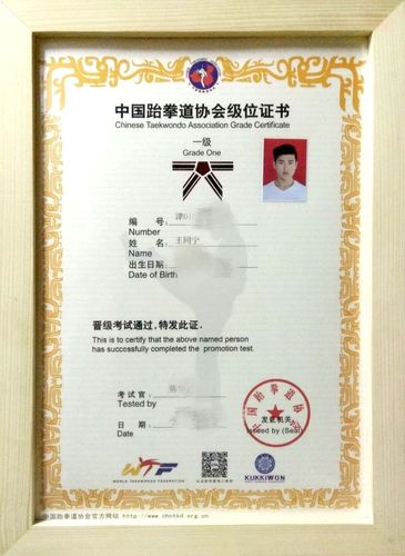 我的大学跆拳道