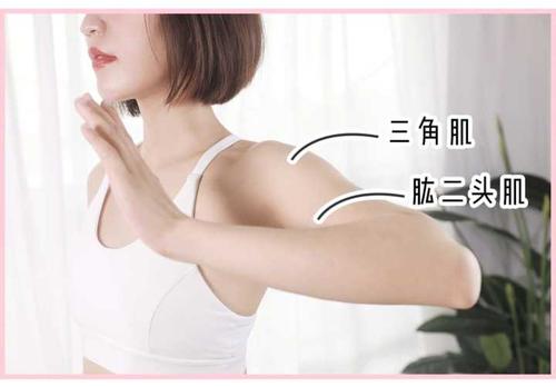 女性如何有效瘦手臂