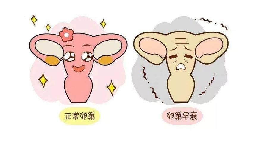 女性卵巢早衰的7种表现中招一半以上就要注意了