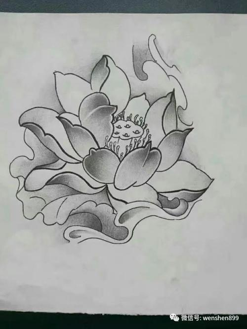荷花纹身图案 莲花纹身手稿 纹身素材 纹身图案 纹身