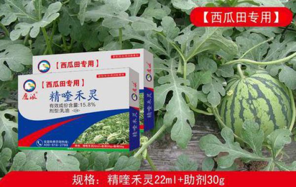 西瓜除草剂该怎样使用呢?