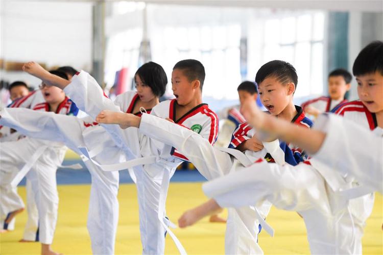 小学校园里的跆拳道课