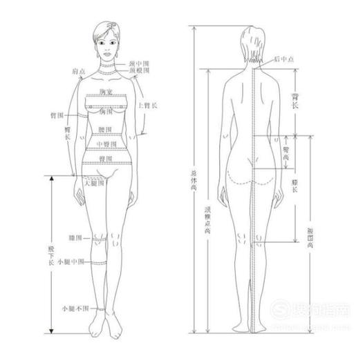 女生标准身材的黄金比例