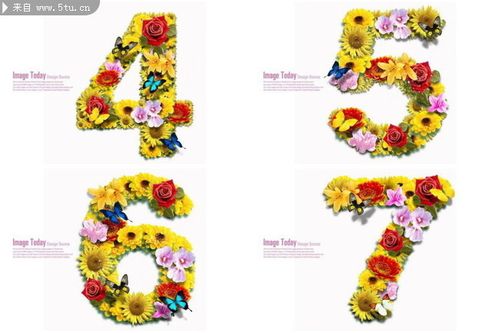 鲜花数字图片创意花体字
