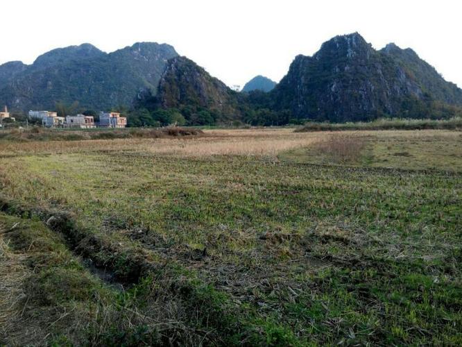 茅坡文化南楼