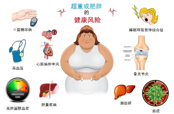 超重或肥胖的健康风险