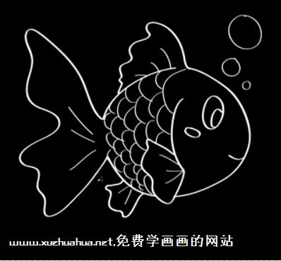 小金鱼简笔画图片教程【动画步骤】