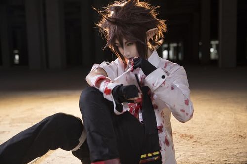 cos:凹凸世界安雷和安迷修